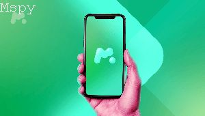 How to Use Mspy Software