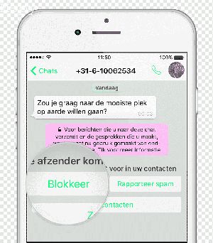 How to Remove Mspy Icon