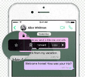 How to Read Key From Mspy