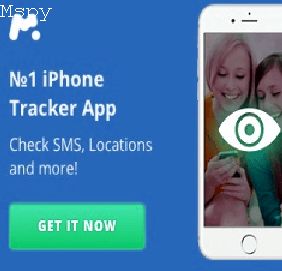 How Can I See Data of Target Device in Mspy Account