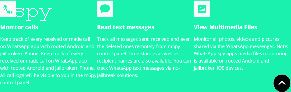 How Do You Set Up Mspy