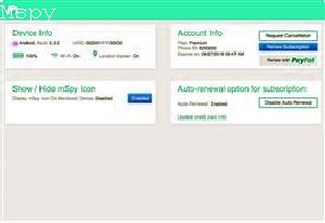 Is Mspy Worth the Price